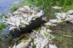 Отменено чрезвычайное положение из-за загрязнения воды в Тукумсском крае