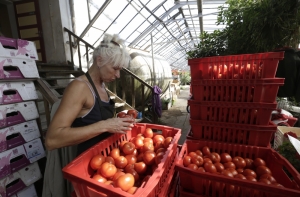 В России сочли санкционные продукты опасными для сирот и стариков
