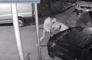 В сети появились кадры жестокого избиения замгендиректора РАО (ВИДЕО)