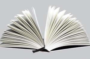 ЛТВ: запрещенными на Украине книгами свободно торгуют в Латвии