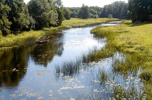 На реке Абава пропал человек