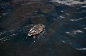 В Лиепае произошла утечка химического вещества