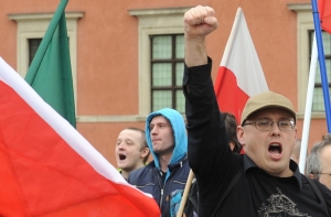 Тысячи поляков устроили митинги против беженцев (ФОТО,ВИДЕО)