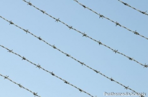 За побег преступника из Олайнской тюрьмы наказаны 11 работников