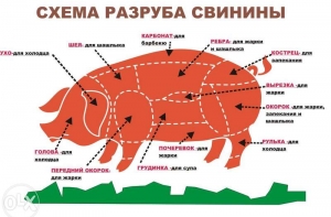 Британцам запретят греть свинину в офисных микроволновках