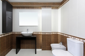 Компания «Villeroy & Boch Gustavsberg AB» составит топ лучших общественных туалетов Латвии