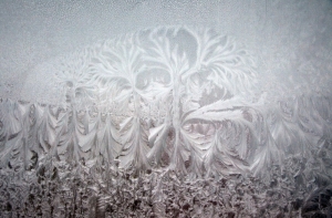 Этой осенью насмерть замерзли уже 14 человек