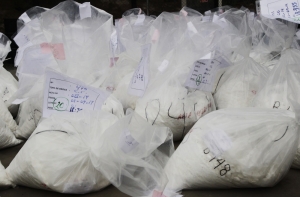 В Айнажи задержали жителя Эстонии с 800 граммами кокаина