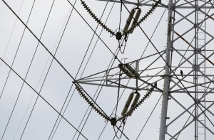 Из-за бури без электричества остались более 10 тысяч домов