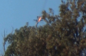 Экс-помощник главы ЦРУ: из-за Турции у НАТО будут большие проблемы (АУДИО)