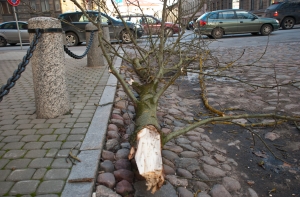 Самый сильный ветер был в Лиепае
