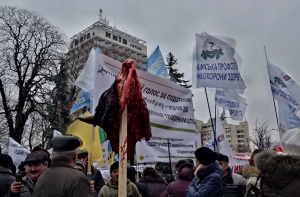 Митингующие перед Радой украсили елки головами коров (ФОТО)