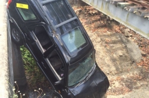 Женщина упала на машине с моста, испугавшись осы (ФОТО)