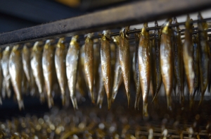 Предприниматель: нужно избавиться от веры в российский рынок