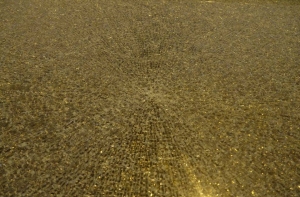 Вандалы сломали рекламный экран у Художественного музея (ФОТО)