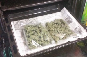 Полиция ликвидировала три плантации марихуаны (ВИДЕО, ФОТО)