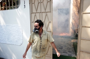 Вирус Зика угрожает проведению Олимпиады в Рио-де-Жанейро