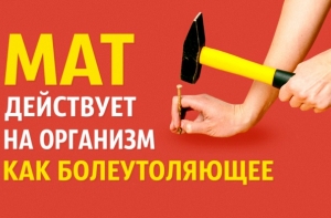 15 головокружительных фактов, которые звучат как ложь