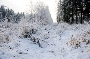 В больницы продолжают поступать жертвы морозов