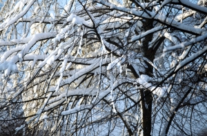 Ночью Латвию завалит снегом