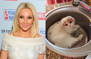 Кот телеведущей Леры Кудрявцевой стал звездой Instagram (ФОТО)