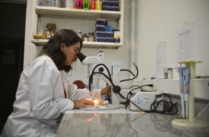 Записаться на бесплатные обследования одновременно пытались 40 тысяч человек