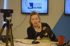 АНОНС: на радио Baltkom – ежик, морская свинка и шипящий таракан