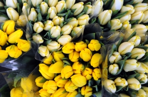 АНОНС: в эфире радио Baltkom – только девушки