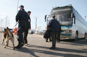 В Риге к обеспечению безопасности привлечены кинологи