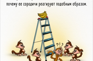 Как работает общественное мнение