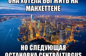 Картинка дня