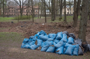 В Латвии пройдет Liela Talka (КАРТА)