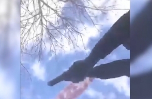 Жителя Чикаго расстреляли во время съемки селфи (ВИДЕО)