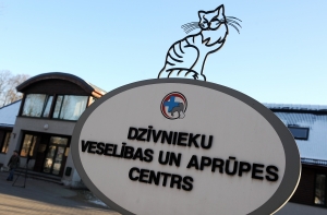 Специалист: ситуация с собакой в Вецмилгрависе - это палка о двух концах