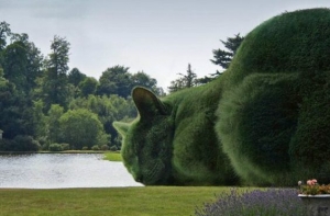The Topiary Cat: поразительные кото-кусты