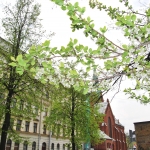 В Латвии потеплеет до +27 градусов