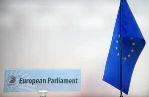 Петицию в защиту прав неграждан передали в Европарламент