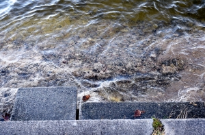 В Риге из Даугавы вытащили тело человека