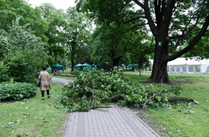 Последствия бури: пожарные провели почти 400  спасательных операций
