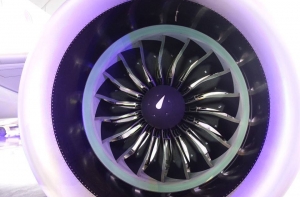 Пассажир рейса Москва - Рига напал на стюарда