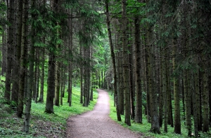 Родители пропавшего в Абрагциемсе ребенка не будут привлечены к ответственности