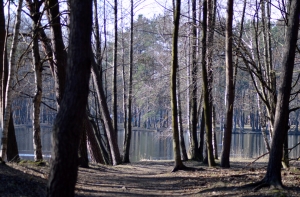 ЧП в Энгуре: полицейские и земессарги всю ночь искали пропавшего ребенка
