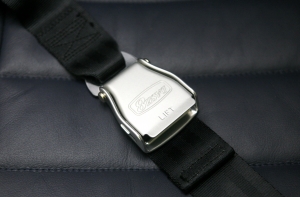 Полиция напоминает: ремень безопасности нужно использовать и на заднем сиденье машины