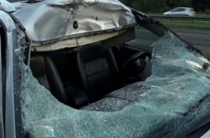 На Юрмальском шоссе легковушка столкнулась с лосем: пассажиры чудом выжили