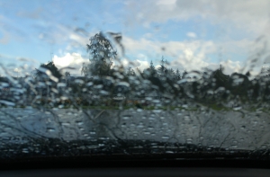 Синоптики: мы не будем делать прогнозы по народным приметам