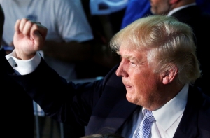 В Британии найдено похожее на Трампа дерево