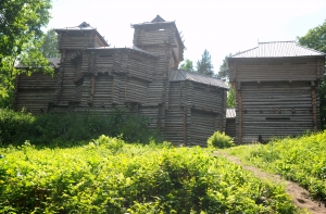 Кровавая драка на фестивале в Тервете: полицию обвиняют в бездействии