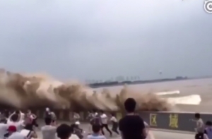 Cert.lv: вступив в Еврозону, мы стали более интересны зарубежным хакерам