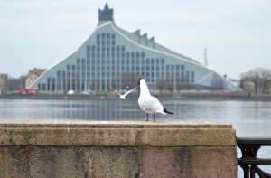 Директор «Замка света»: мы выбрали самый дешевый вариант чистки здания