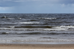 ПРЯМАЯ ВИДЕОТРАНСЛЯЦИЯ: в Каугури выступят Gacho, Бусулис и Ваенга